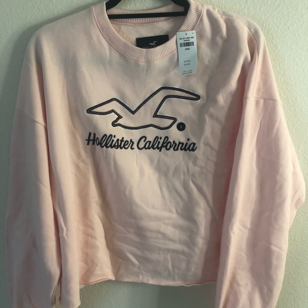 hollister sweater